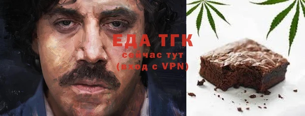 хмурый Абаза