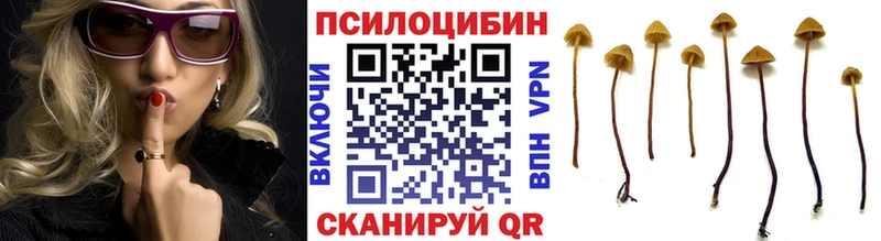 Псилоцибиновые грибы ЛСД  где можно купить   OMG   Райчихинск 